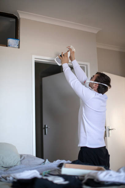 Best Emergency Mold Remediation  in Central City, KY