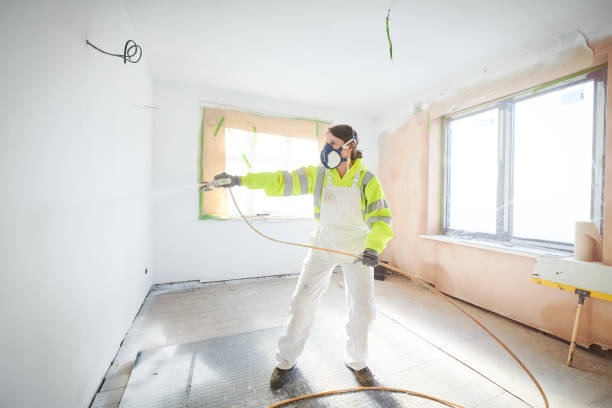 Best Asbestos and Lead Testing During Mold Inspection  in Central City, KY