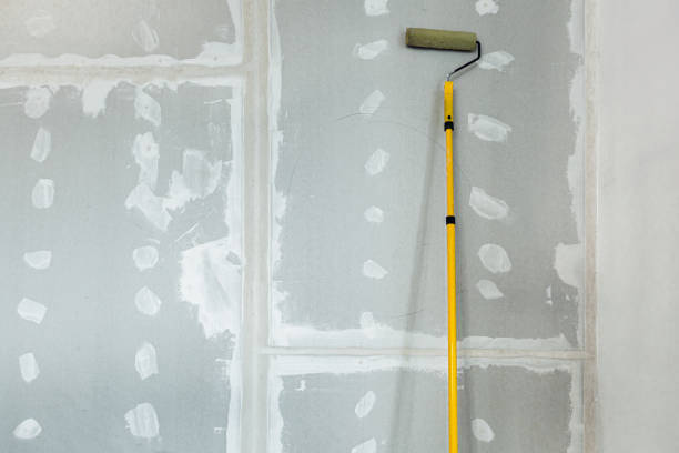 Best Airborne Mold Testing  in Central City, KY