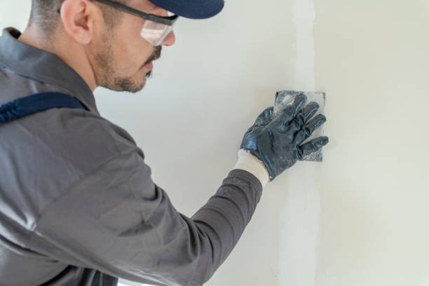 Trusted Central City, KY Mold Removal Experts