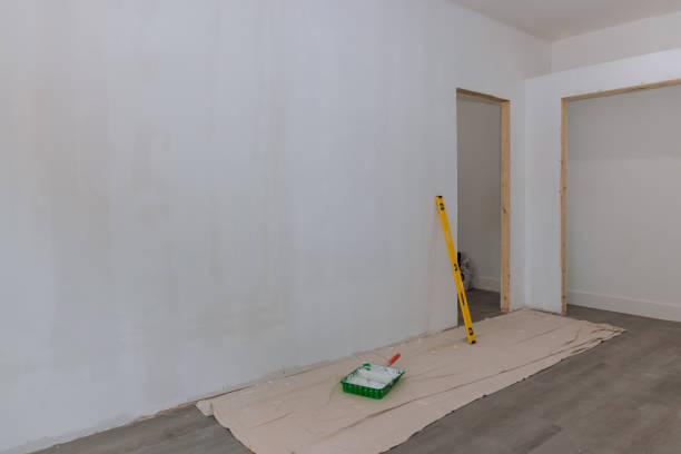 Best Post-Construction Mold Inspection  in Central City, KY