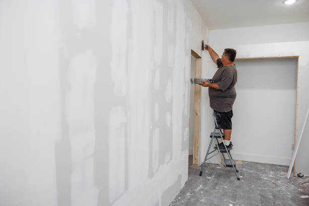 Best Mold Prevention Services  in Central City, KY