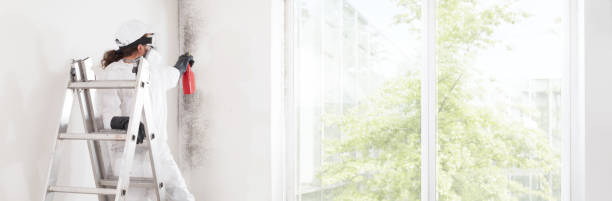 Best Water Damage & Mold Remediation  in Central City, KY