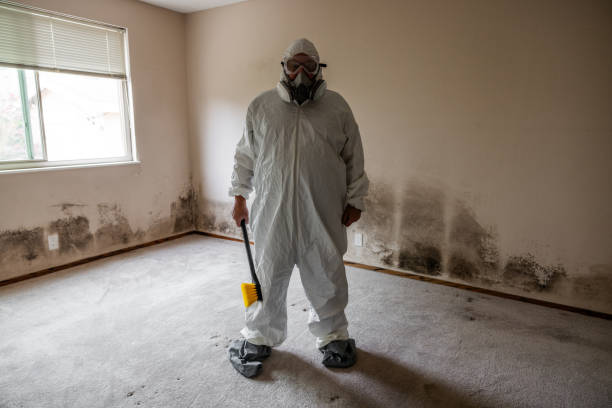 Best Commercial Mold Inspection  in Central City, KY