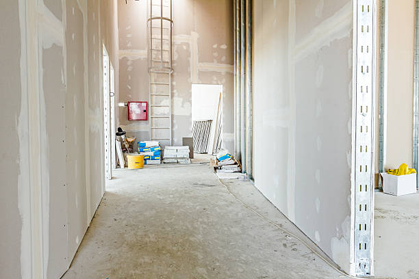 Best Real Estate Mold Inspection  in Central City, KY