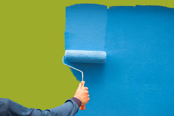 Best Attic Mold Removal  in Central City, KY