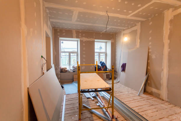 Best Mold Odor Removal Services  in Central City, KY